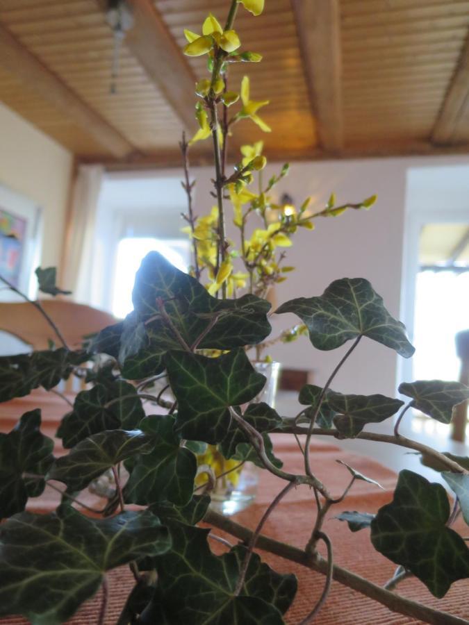 Wiechs am RandenAlpaka-Ferien公寓 外观 照片